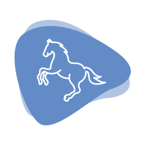 Cremare Infos Pferdekrematorien Cremare Infos Pferdekrematorien