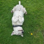 Gedenkbild